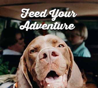Feed Your Adventure